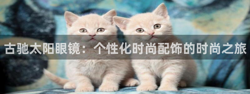 新宝5平台登陆