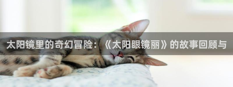 新宝5秒开