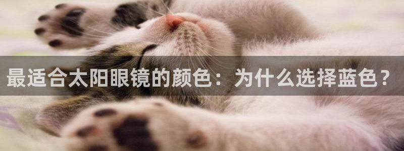新宝股东王听2 5 5