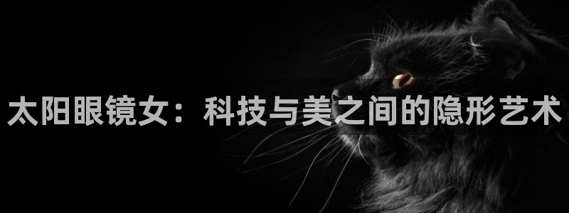 新宝5娱乐没