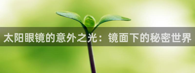 新宝5娱乐注