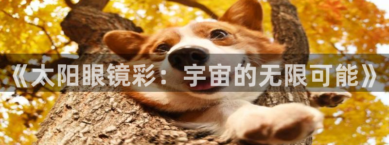 新宝5平台霸
