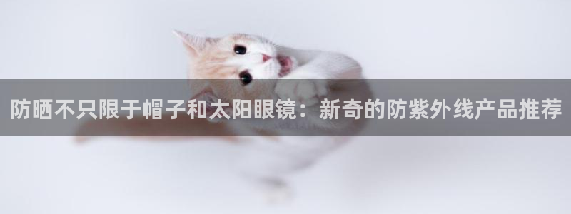 新宝5总代