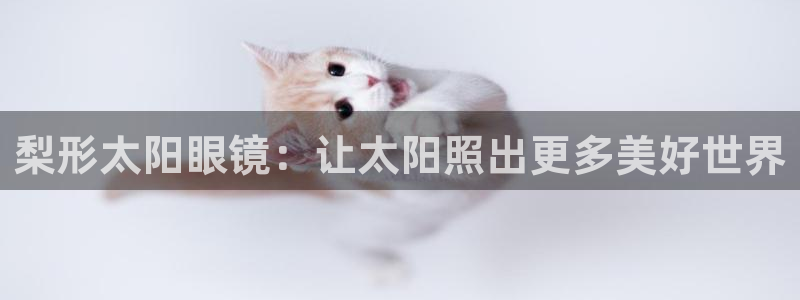 p5r新宝魔