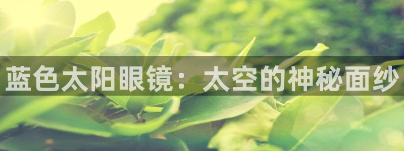 新宝5是什么