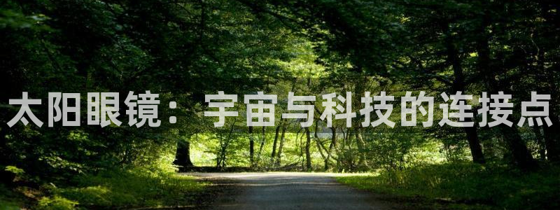 新5宝