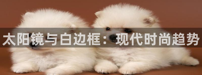 新宝5娱乐登陆