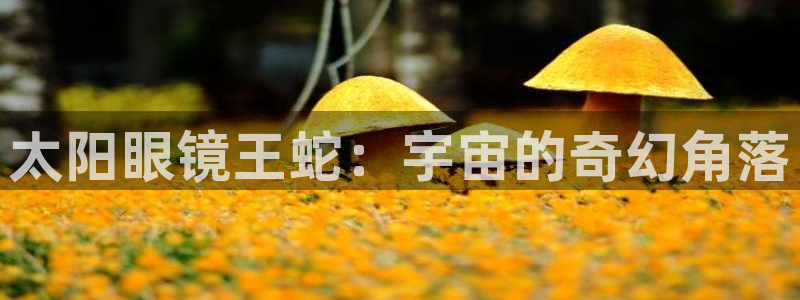 新宝5安卓版