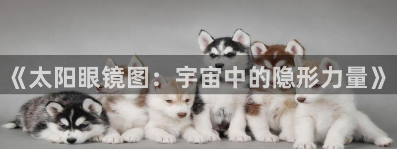 新宝5网