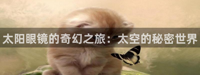 新宝5什么时候上市