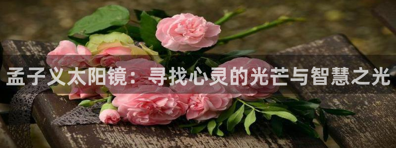 新宝5公司