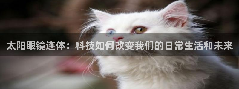 新宝5官网