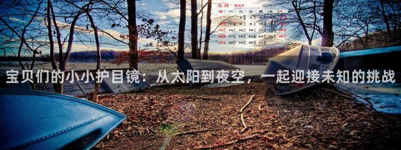 新宝5平台咋样