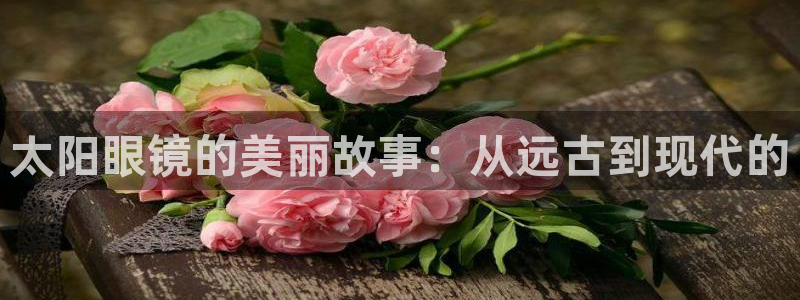 新宝5娱乐学