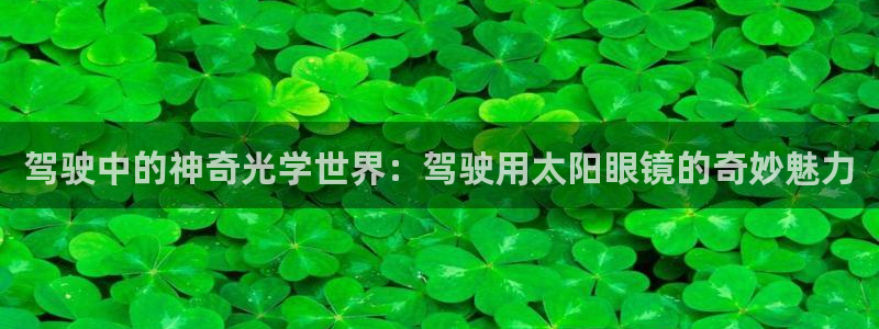 新宝5测速登陆