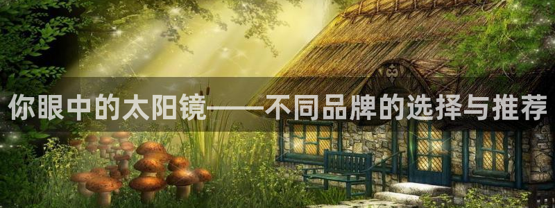新宝5测速登陆