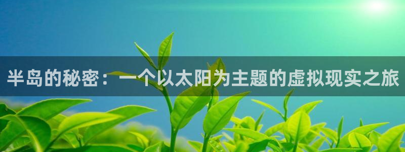新宝5官网霸