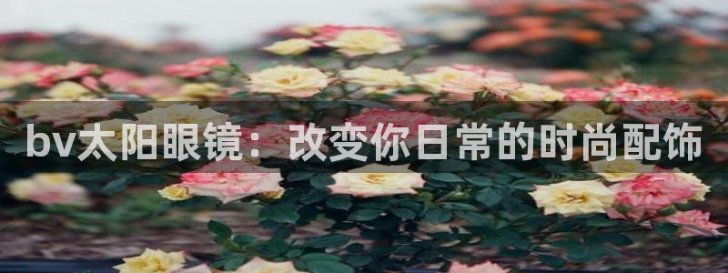 新宝5下载官方