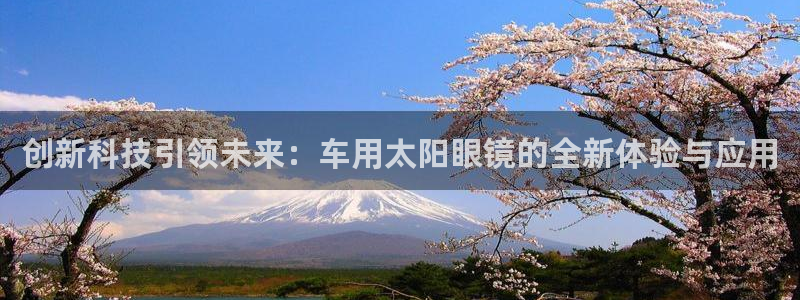 新宝5平棋牌