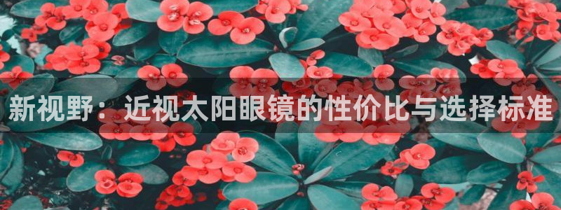 新宝5在哪里