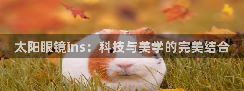 有人知道新宝5么