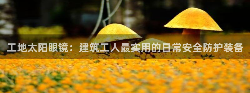 新宝奇迹GG5